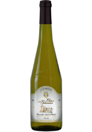 MUSCADET SEVRE ET MAINE