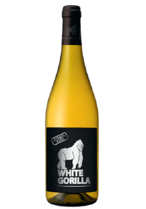 WHITE GORILLA